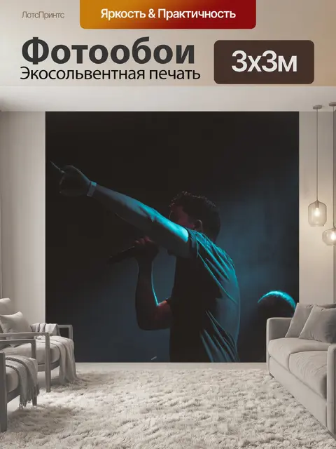 Фотообои Концерт