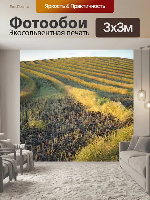 Фотообои Рапс Растениеводство Урожай Ферма Линии