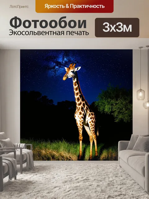 Фотообои жираф с характерным узором на шерсти, освещенный лунным светом, медленно перемещается среди высоких акаций