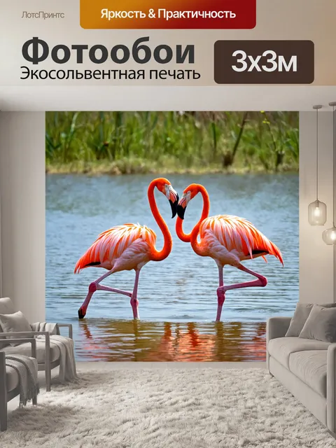 Фотообои фламинго, танцующие в воде во время ритуала спаривания, с их яркими перьями и элегантными движениями