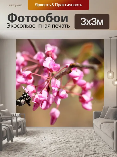 Фотообои Redbud Blooms и Moth
