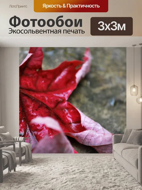 Фотообои Красный Осенний лист