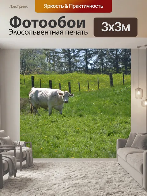 Фотообои Белая корова
