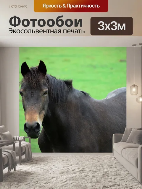 Фотообои Конный спорт