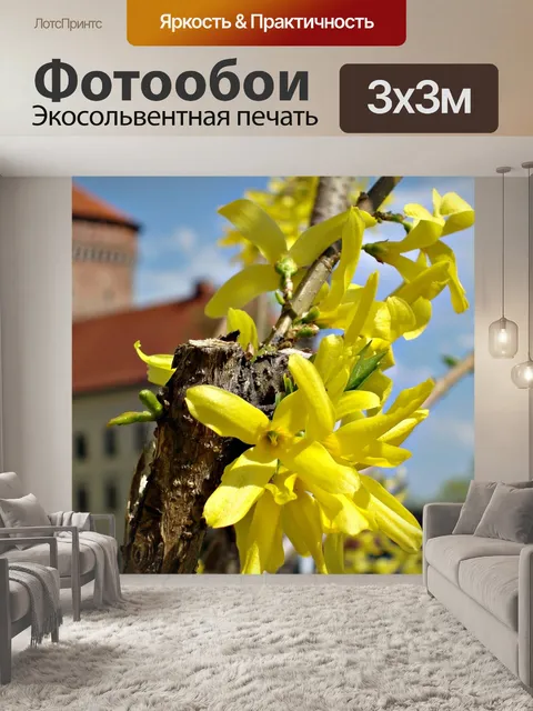 Фотообои Цветок