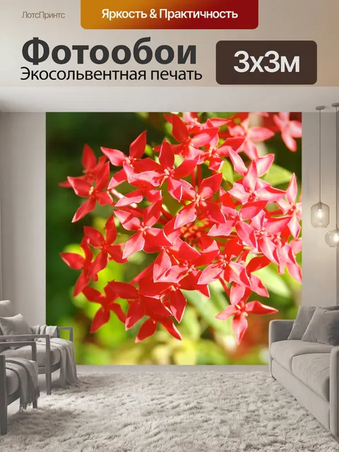 Фотообои Египетское звездное скопление