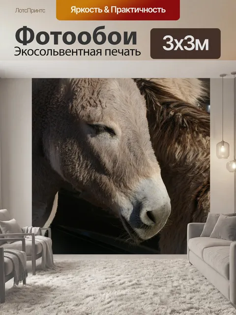 Фотообои Осел