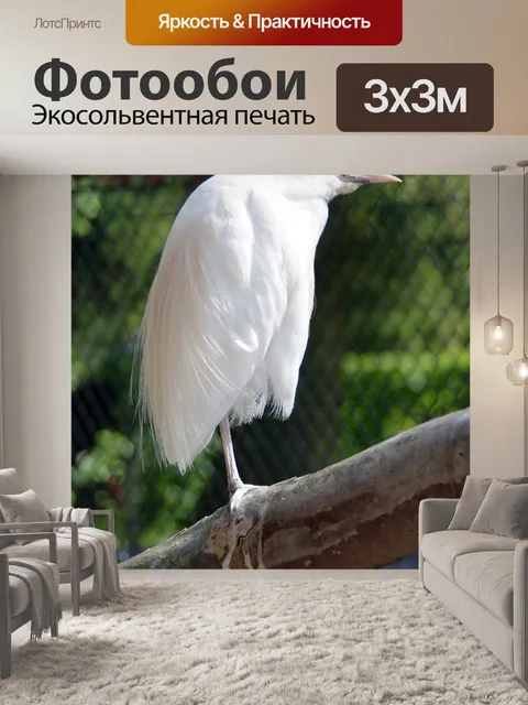 Фотообои Маленькая цапля