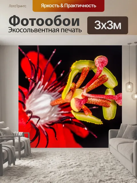 Фотообои Цветок страсти