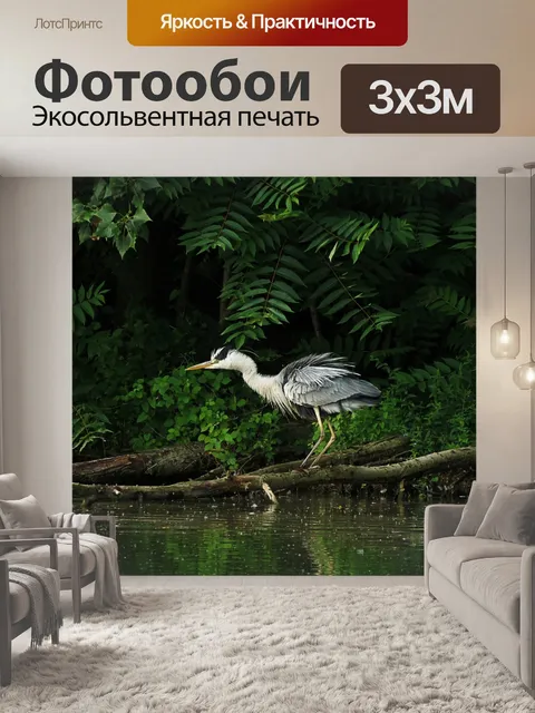 Фотообои Цапля