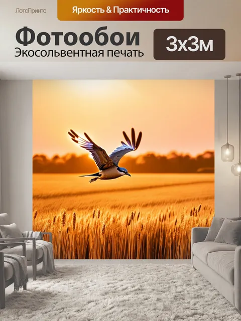 Фотообои птица, парящая над полями с золотым эрам, в лучах заката