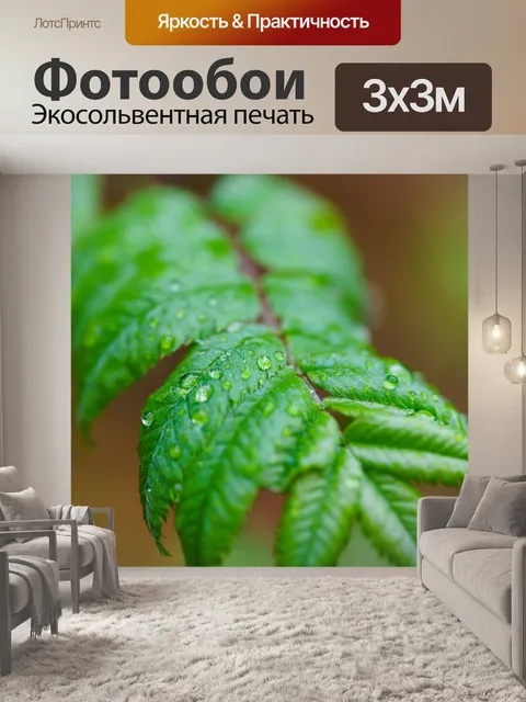 Фотообои Дождь