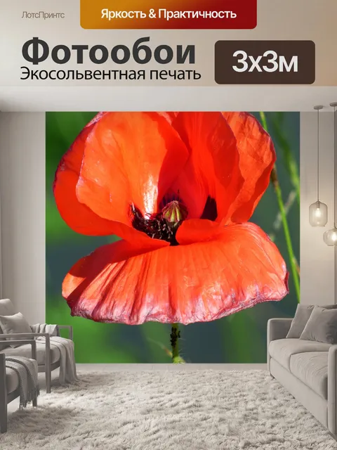 Фотообои Цветок