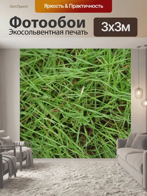 Фотообои Длинный необрезанный зеленая трава фон