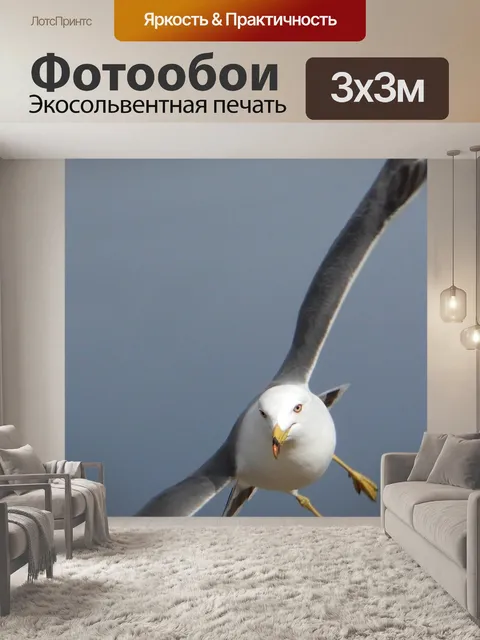 Фотообои Животное