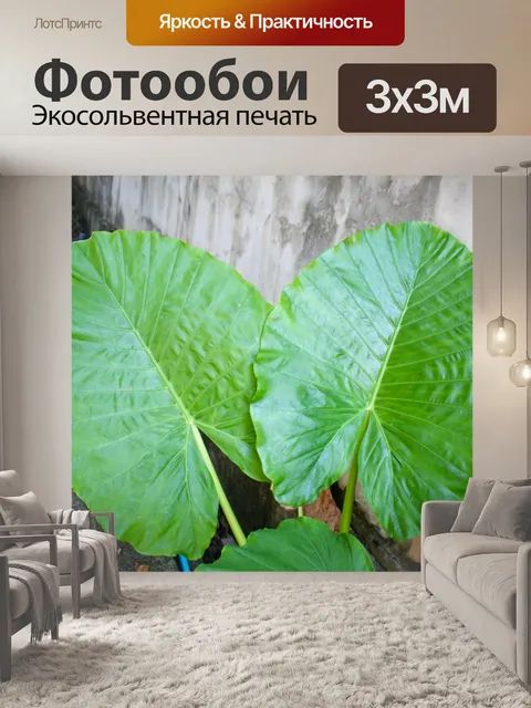 Фотообои Пальма