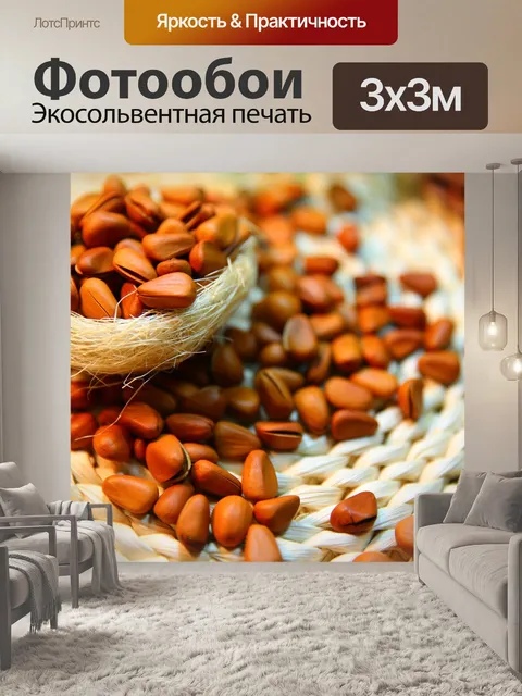 Фотообои Кедровые орехи