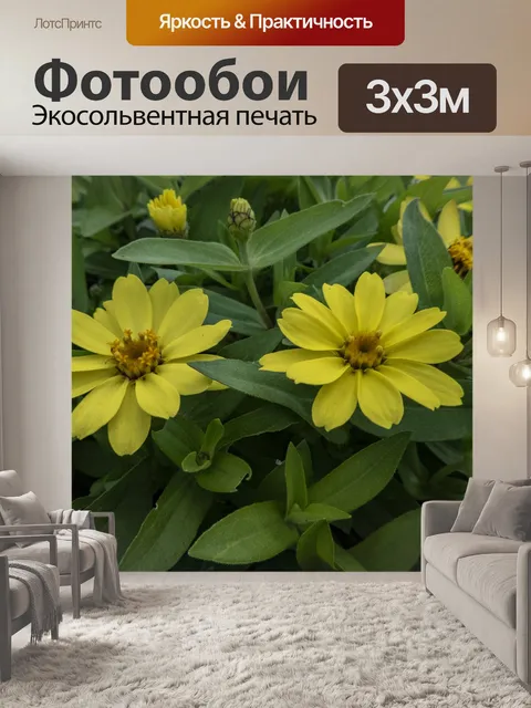 Фотообои Пара желтых цветов
