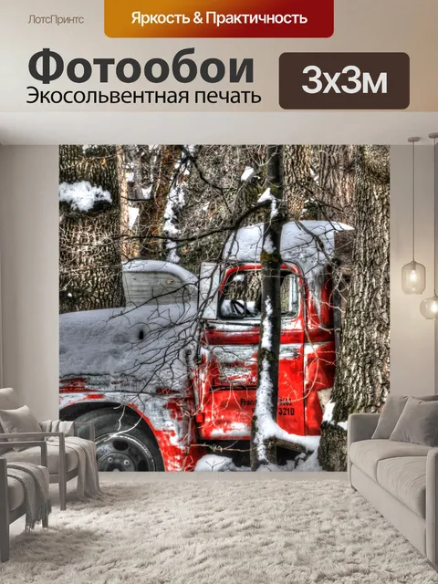 Фотообои Снегоуборщик