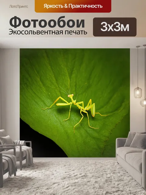 Фотообои на зеленом листе, богомол притаился как скульптура природы, структурные детали и текстуры изображены в…