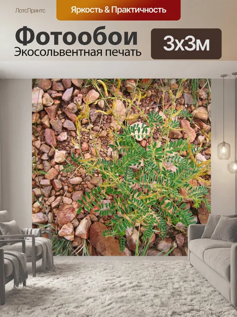 Фотообои молодое зеленое дерево с желтыми стручка