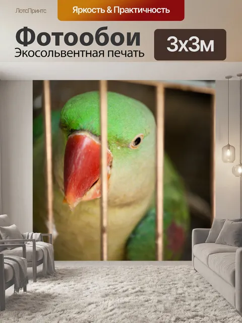 Фотообои Попугай