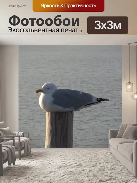 Фотообои Сельдь чайка