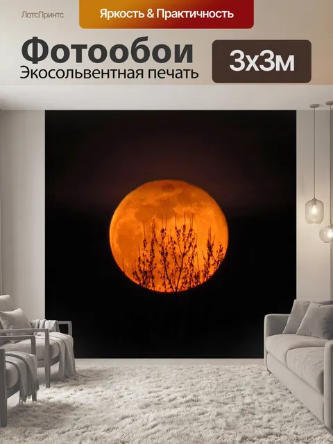 Фотообои Луна