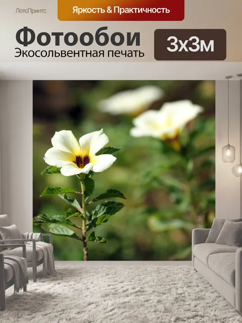 Фотообои цветок в саду