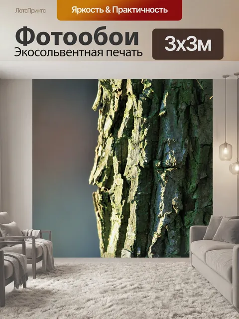 Фотообои кора закрыть