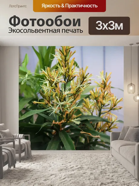 Фотообои Узкие листья драцены
