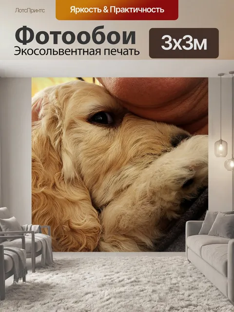 Фотообои Обнимаются щенок