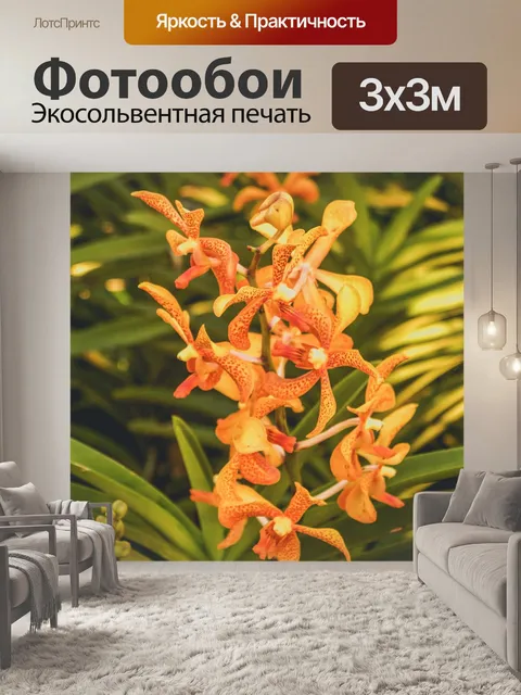 Фотообои Цветок орхидеи