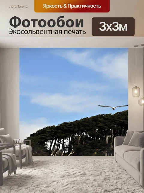 Фотообои Чайка пролетая