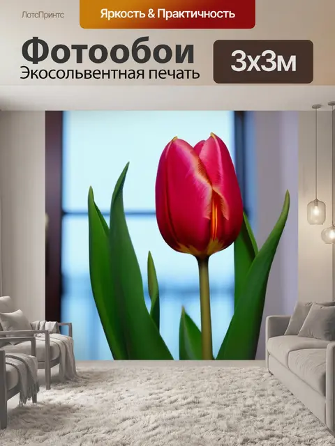 Фотообои уютный тюльпан в доме