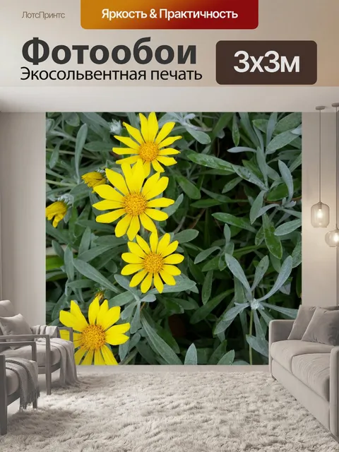 Фотообои Желтый крошечные ромашки крупным планом