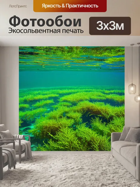Фотообои тихая река с водорослями, детали подводного мира, стиль натурализма