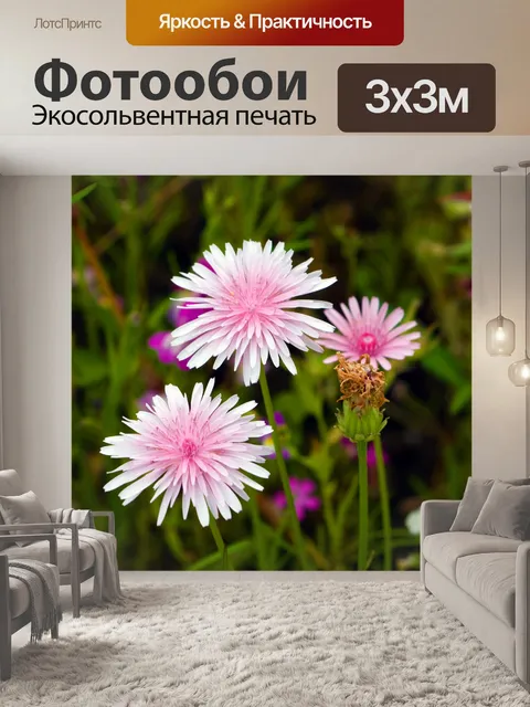 Фотообои Розовые цветы