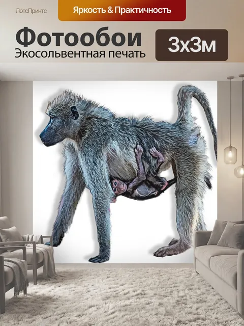 Фотообои Бабуин с младенцем