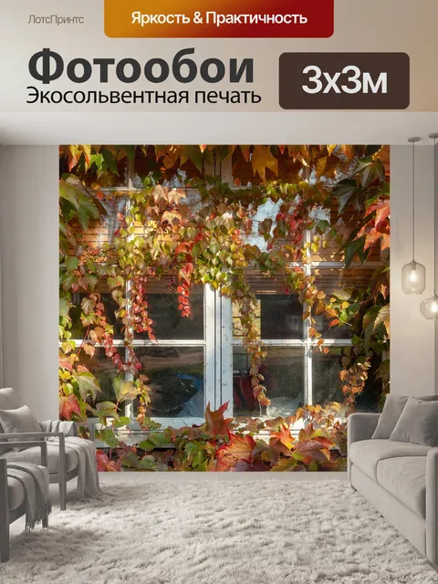 Фотообои Окно