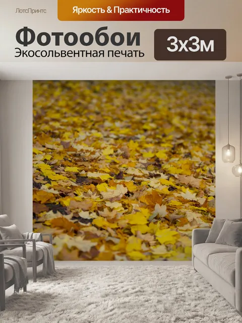 Фотообои Осенние листья