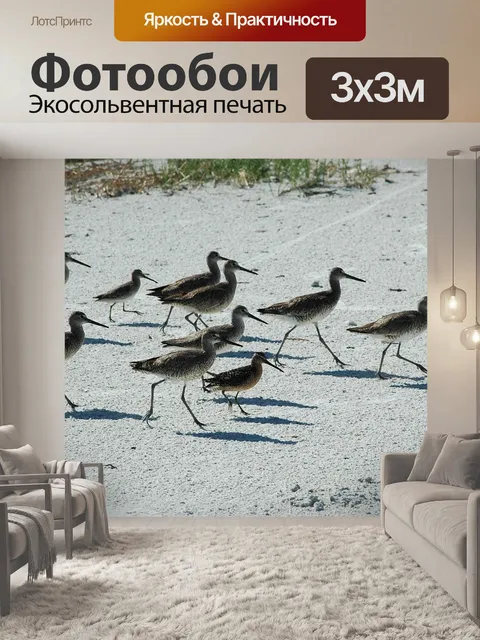 Фотообои Кулики на пляже