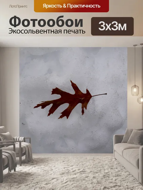 Фотообои Один лист на снегу