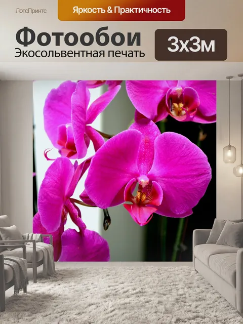 Фотообои Розовая орхидея