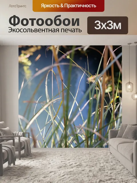 Фотообои Природа