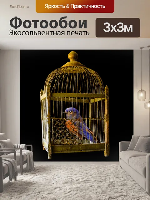 Фотообои Клетка