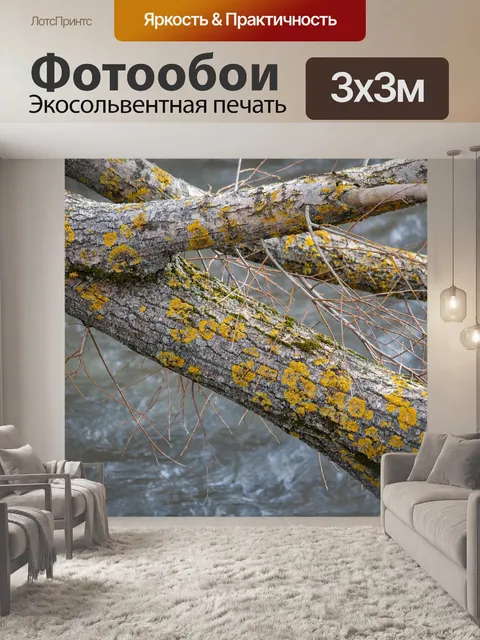 Фотообои Река