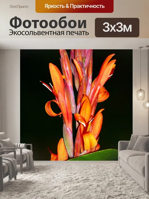 Фотообои Канна