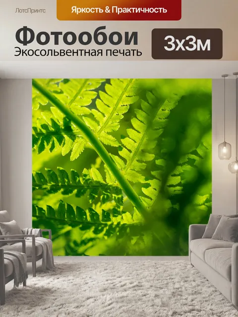 Фотообои зеленый папоротник
