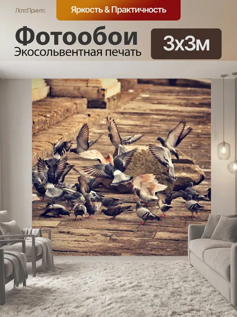 Фотообои Голуби